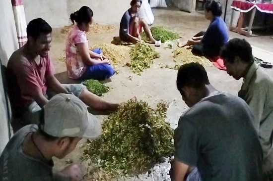Dekat dengan PLTP Ulumbu, Produktivitas Petani Cengkeh di Desa Wewo tetap Optimal