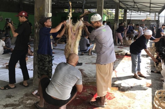 Pemkot Denpasar Cek Kesehatan Daging Kurban Saat Idul Adha 1445 H, Pastikan Layak Konsumsi