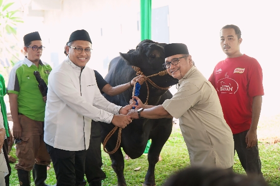 Peringati Hari Raya Idul Adha 1445 H, Pegadaian Berkurban Salurkan 822 Ekor Hewan untuk Masyarakat