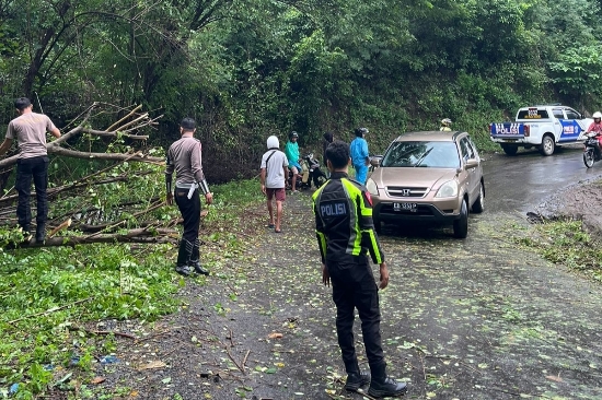 Kasat Lantas Polres Matim Pimpin Evakuasi Pohon Tumbang demi Kenyamanan Pengguna Jalan
