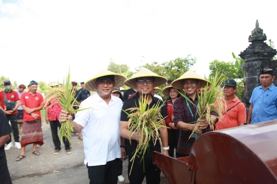 Wawali Arya Wibawa Serahkan Bantuan Hibah kepada Petani Perkuat Sektor Pertanian, Pastikan Keberlanjutan Produksi Pangan Lokal
