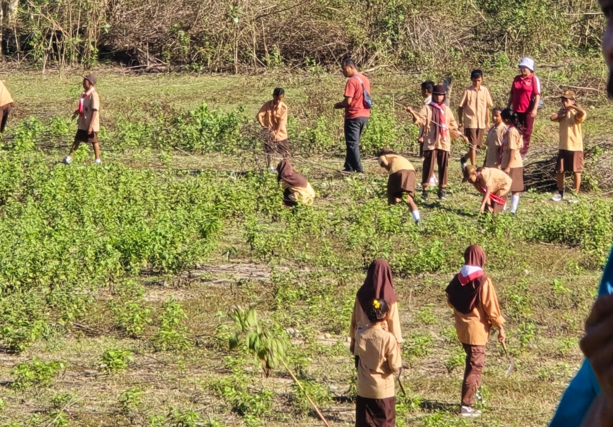 Jelang HUT ke-63, Pramuka Kwarcab Mabar Gelar Aksi Bersih-Bersih di Tiwu Nampar