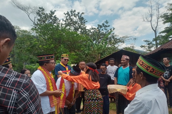 Pilkada Manggarai Timur, Paket AKUR Disambut Adat Manggarai “Kapu” di Kampung Wuas
