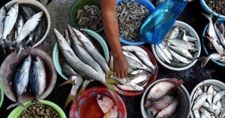 Kisah Seorang Penjual Ikan yang Sukses