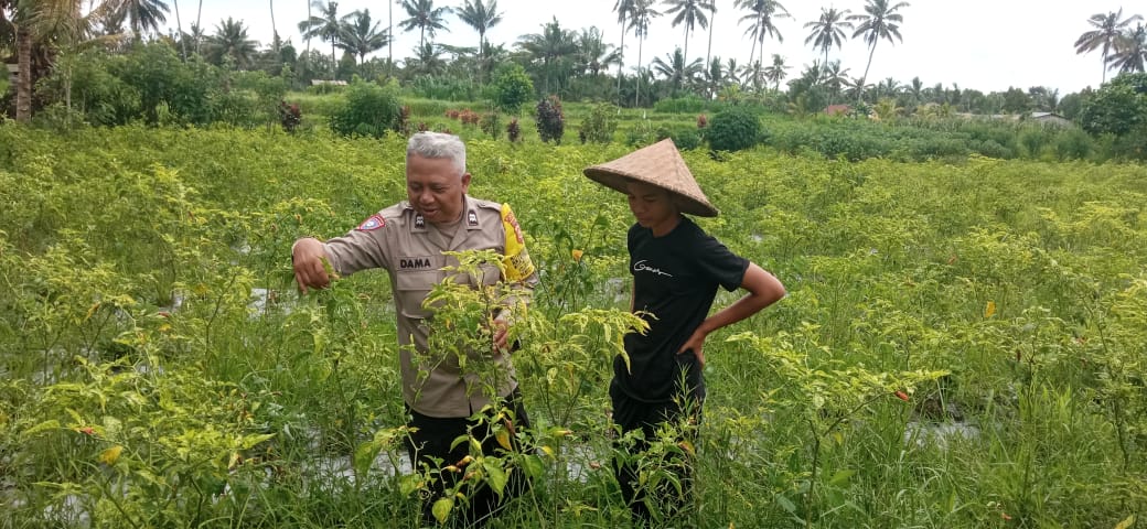 Bhabinkamtibmas Bebalang Sambangi dan Monitoring Pemanfaatan Lahan Warga