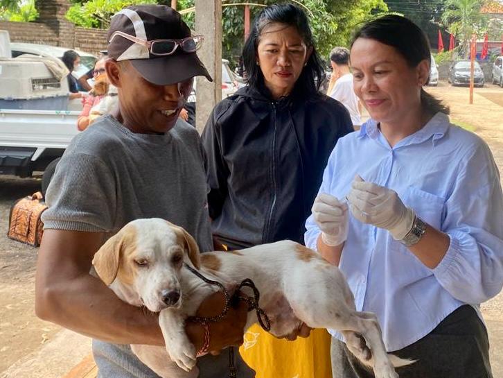 Tahun 2025, Distan Denpasar Targetkan Vaksinasi Rabies Sasar 91,13 Persen Populasi HPR