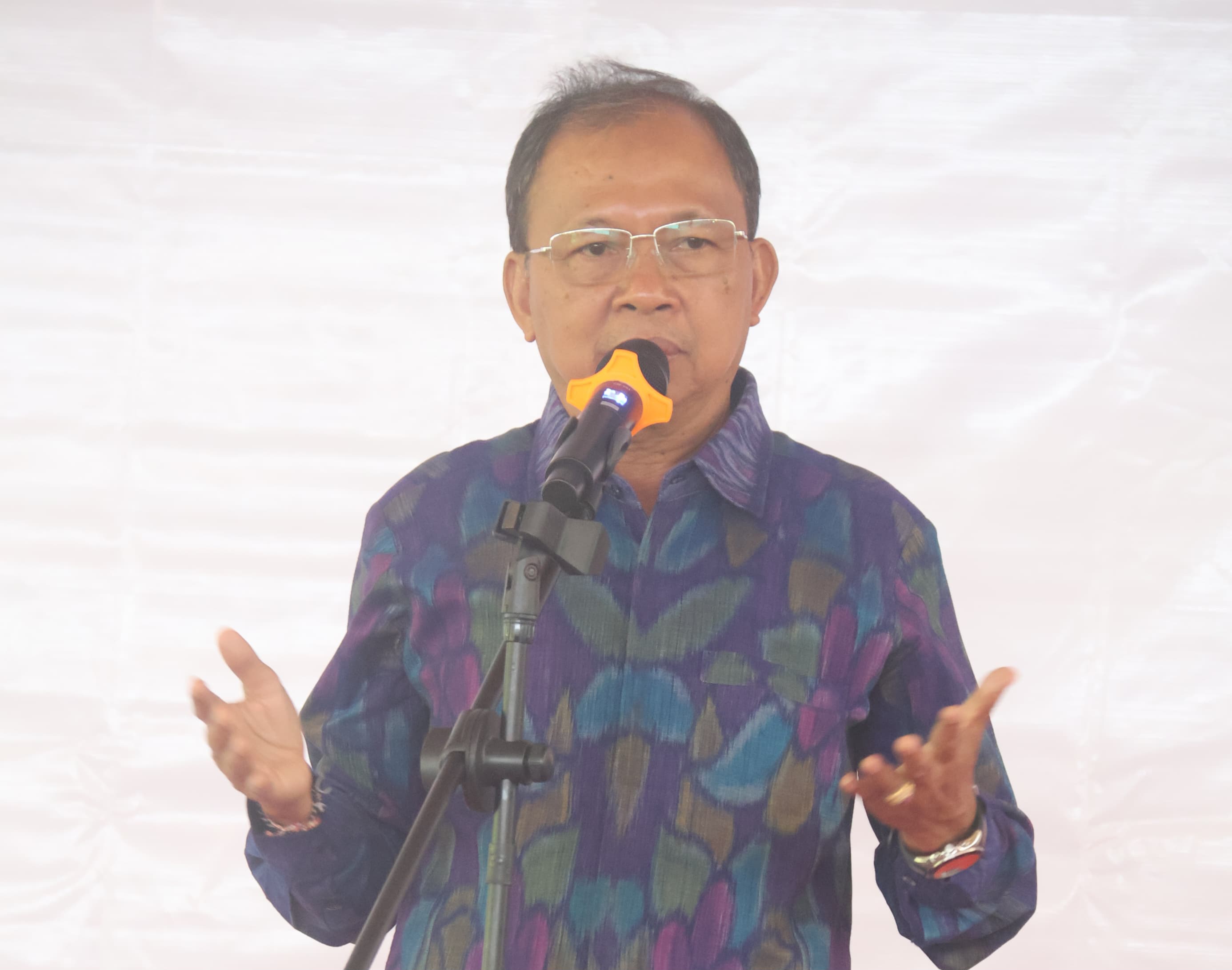 Wayan Koster KB Bali Bukan Soal Jumlah Tapi Penerus Budaya Bali