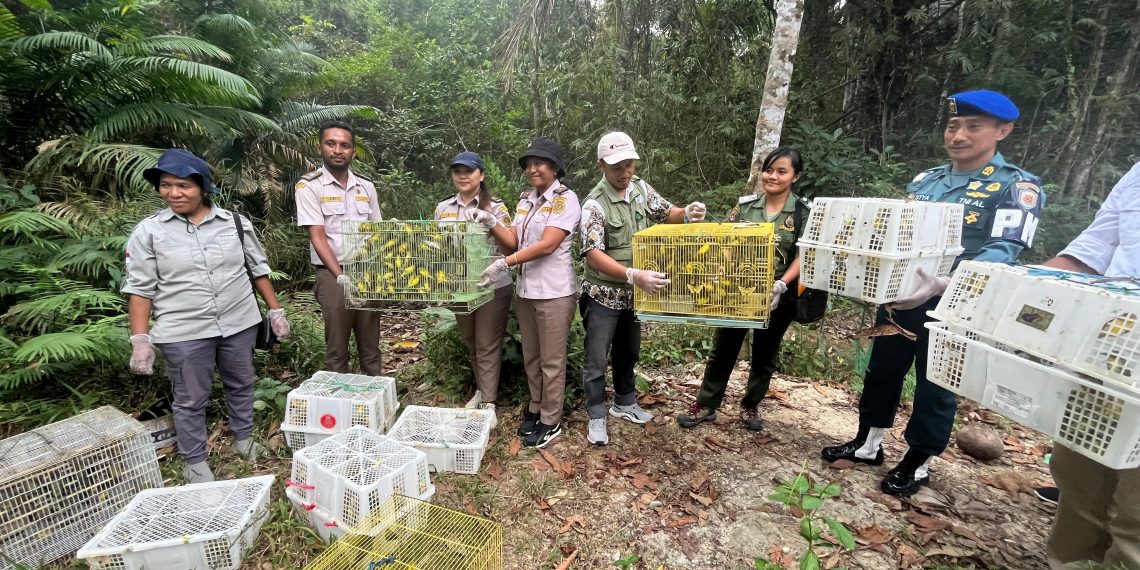 Opsi Gabungan di Pelabuhan Multipurpose Wae Kelambu Gagalkan Penyelundupan 1006 Ekor Burung