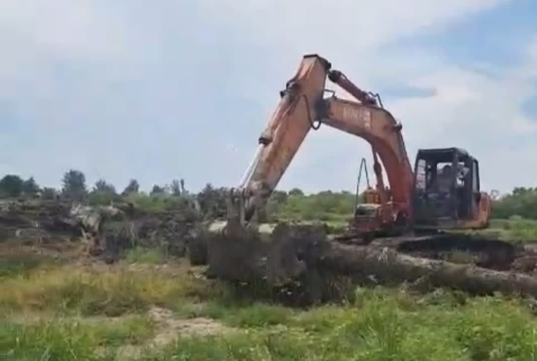 Polda Sumut Diminta Selamatkan Lahan Milik Negara dari Residivis Nakko Sitanggang di Sergai