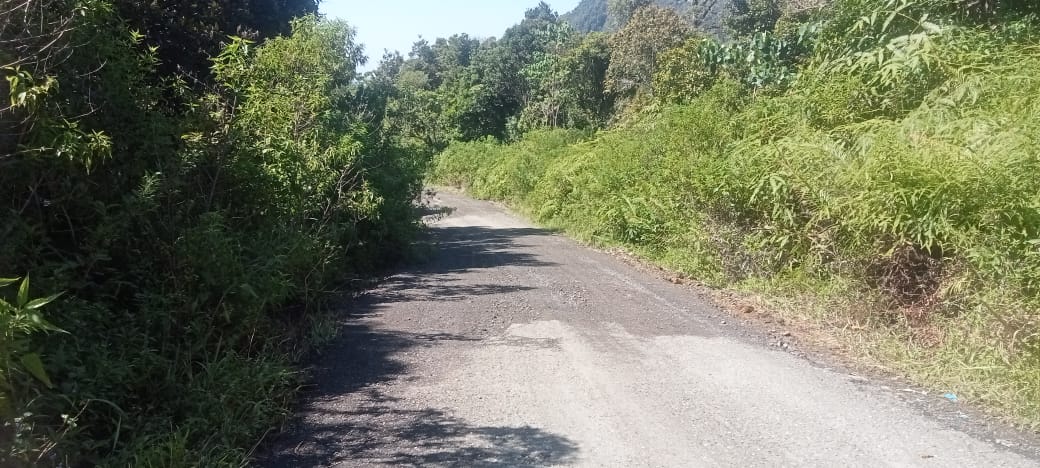 Satu Bulan Mangkrak, Proyek Patching Jalan Bea Laing-Mukun Dikeluhkan Warga: Hanya Disiram Pasir, Bukan Aspal!