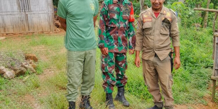 Antisipasi Penyebaran Rabies, Pemdes Satar Nawang Gelar Pembasmian Anjing Peliharaan