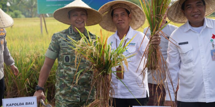 Dandim Badung: Indonesia Masuki Era Swasembada Pangan, Kodim 1611/Badung Berkomitmen Dukung Swasembada Pangan Nasional