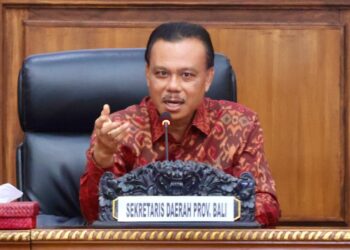Sekda Dewa Indra Hadiri Audiensi Penguatan Implementasi Digitalisasi Kartu Kesejahteraan