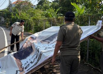 Satpol PP Kota Denpasar Tertibkan Baliho dan Spanduk di Fasilitas Umum