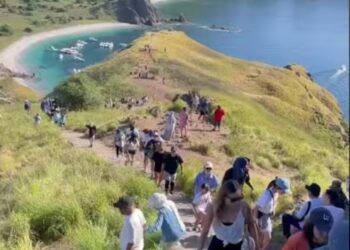 Dibatasi 1.000 Orang per Hari, Ini Alasan Sebenarnya di Balik Kebijakan Komodo