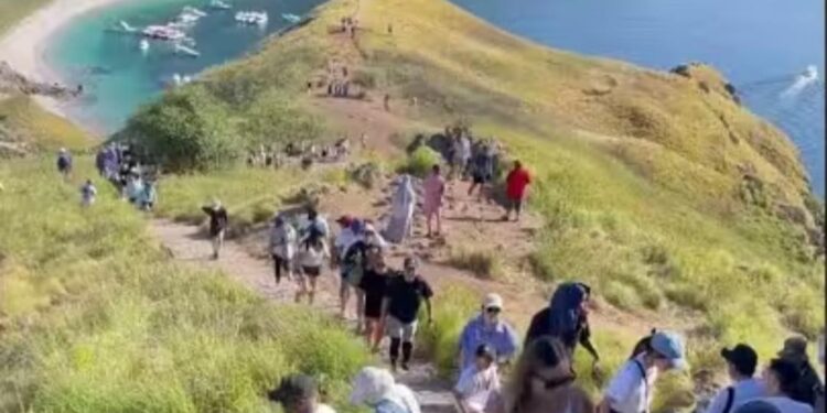 Dibatasi 1.000 Orang per Hari, Ini Alasan Sebenarnya di Balik Kebijakan Komodo