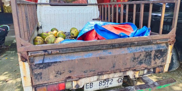 Dua Kali Beraksi di Lokasi Sama, Komplotan Pencuri di Labuan Bajo Akhirnya Dibekuk Polisi