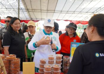 Pasar Rakyat PKK Bali Jadi Motor Penggerak Ekonomi Petani dan UMKM