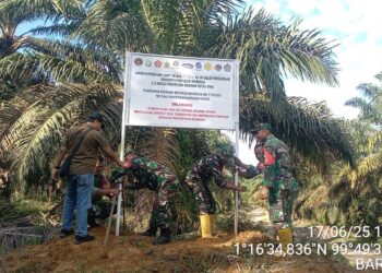 PT Barapala Acuhkan Negara, Panen Sawit Di Lahan Status Quo