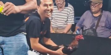 Menantang Aparat: Diklaim Tutup, Sindikat Sabung Ayam ‘Edy’ di Kutalimbaru Terang-terangan Gelar “Event Besar” Besok