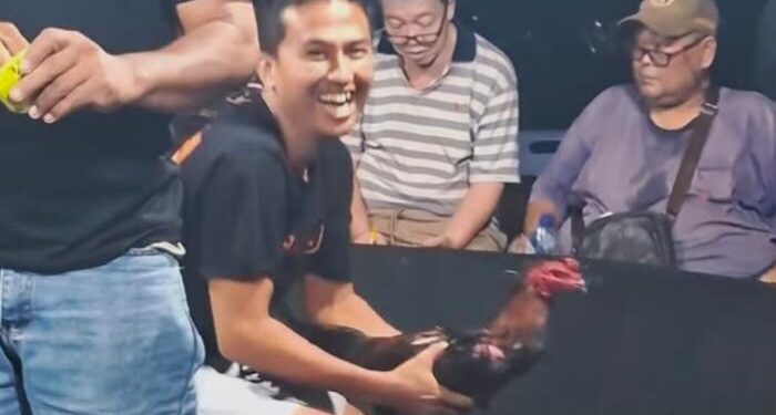 Menantang Aparat: Diklaim Tutup, Sindikat Sabung Ayam ‘Edy’ di Kutalimbaru Terang-terangan Gelar “Event Besar” Besok