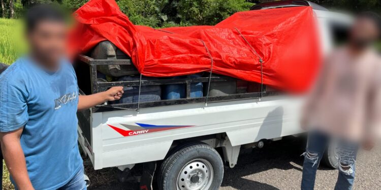 Polres Manggarai Barat Bongkar Dugaan Penjualan Solar Subsidi Ilegal, 525 Liter Diamankan