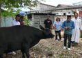 Bantuan Kurban Presiden Tiba di Labuan Bajo, Bupati Edi Endi: Rawat Persatuan dan Kesejahteraan Rakyat
