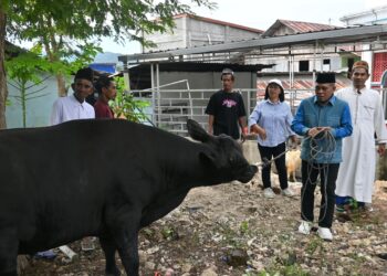 Bantuan Kurban Presiden Tiba di Labuan Bajo, Bupati Edi Endi: Rawat Persatuan dan Kesejahteraan Rakyat