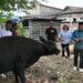 Bantuan Kurban Presiden Tiba di Labuan Bajo, Bupati Edi Endi: Rawat Persatuan dan Kesejahteraan Rakyat
