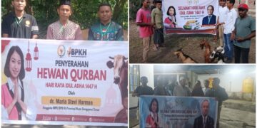 Rajut Nilai Toleransi, Senator dr. Stevi Harman Salurkan Hewan Qurban Idul Adha secara Serentak
