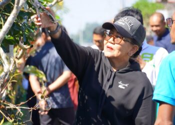 Putri Koster Tinjau Telajakan Desa Adat Batu Lantang, Berikan Apresiasi Rp20 Juta untuk Warga