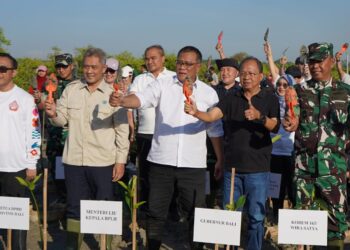 Menteri LH dan Gubernur Koster Tanam Mangrove, Perkuat Komitmen Bali Hadapi Perubahan Iklim