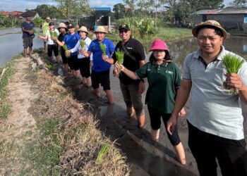 Pemkot Denpasar Gelar Gerakan Tanam Padi Cakrabuana Agritan, Perkuat Ketahanan Pangan Hadapi Musim Kemarau