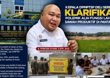 Kepala DPMPTSP Deli Serdang Klarifikasi Polemik Alih Fungsi Lahan Sawah Produktif di Pantai Labu