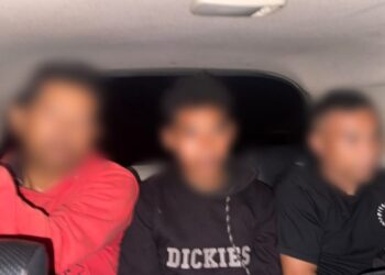 Tiga Pria Diamankan Polisi Usai Video Pembakaran Burung Hantu Hidup-hidup Viral