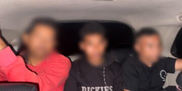 Tiga Pria Diamankan Polisi Usai Video Pembakaran Burung Hantu Hidup-hidup Viral